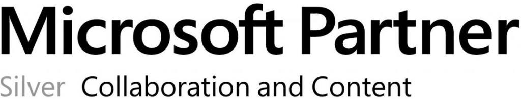 Microsoft partner logotipas